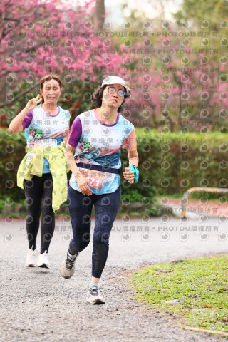 2026左岸竹東櫻花馬拉松Zhudong Sakura Marathon