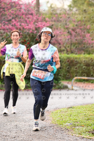 2026左岸竹東櫻花馬拉松Zhudong Sakura Marathon