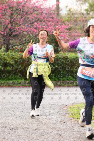 2026左岸竹東櫻花馬拉松Zhudong Sakura Marathon