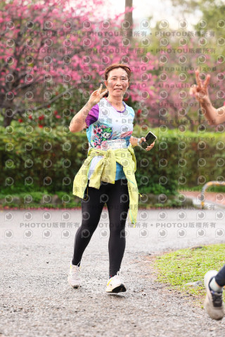 2026左岸竹東櫻花馬拉松Zhudong Sakura Marathon