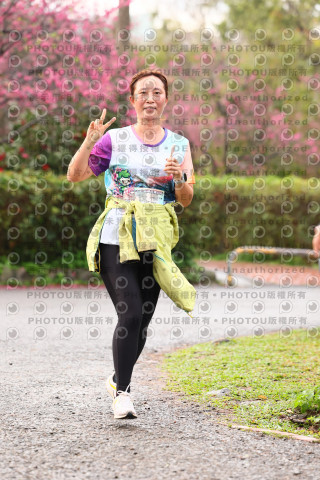 2026左岸竹東櫻花馬拉松Zhudong Sakura Marathon