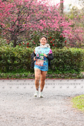2026左岸竹東櫻花馬拉松Zhudong Sakura Marathon