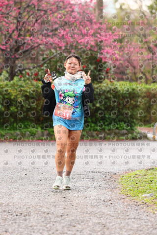 2026左岸竹東櫻花馬拉松Zhudong Sakura Marathon