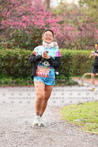 2026左岸竹東櫻花馬拉松Zhudong Sakura Marathon
