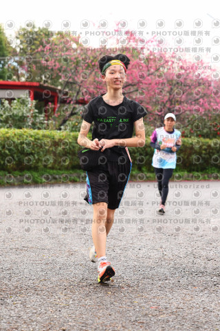 2026左岸竹東櫻花馬拉松Zhudong Sakura Marathon
