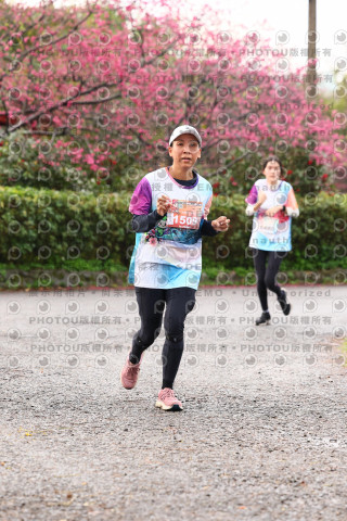 2026左岸竹東櫻花馬拉松Zhudong Sakura Marathon