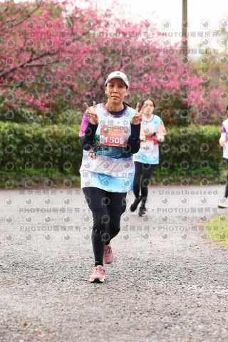 2026左岸竹東櫻花馬拉松Zhudong Sakura Marathon