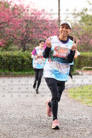 2026左岸竹東櫻花馬拉松Zhudong Sakura Marathon