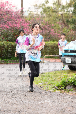 2026左岸竹東櫻花馬拉松Zhudong Sakura Marathon