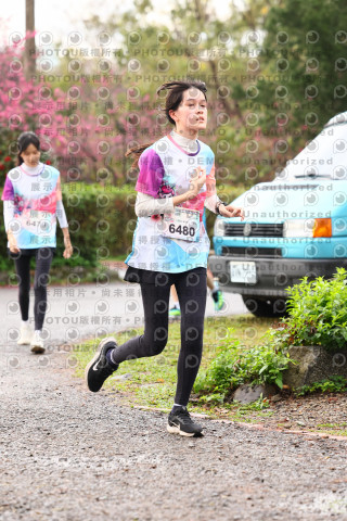 2026左岸竹東櫻花馬拉松Zhudong Sakura Marathon