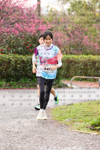 2026左岸竹東櫻花馬拉松Zhudong Sakura Marathon