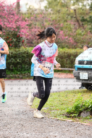2026左岸竹東櫻花馬拉松Zhudong Sakura Marathon