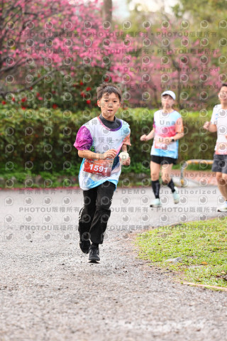 2026左岸竹東櫻花馬拉松Zhudong Sakura Marathon