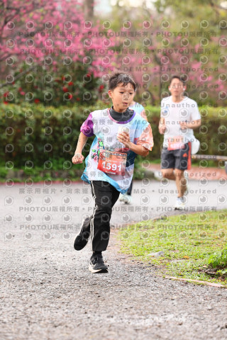 2026左岸竹東櫻花馬拉松Zhudong Sakura Marathon