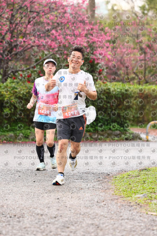 2026左岸竹東櫻花馬拉松Zhudong Sakura Marathon