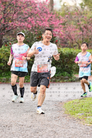 2026左岸竹東櫻花馬拉松Zhudong Sakura Marathon