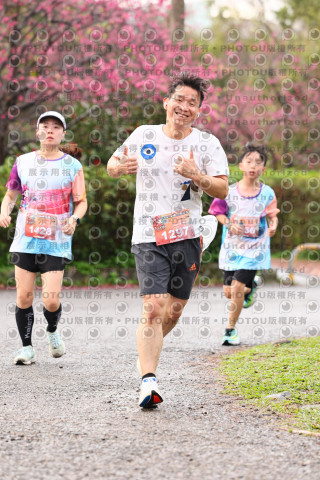 2026左岸竹東櫻花馬拉松Zhudong Sakura Marathon