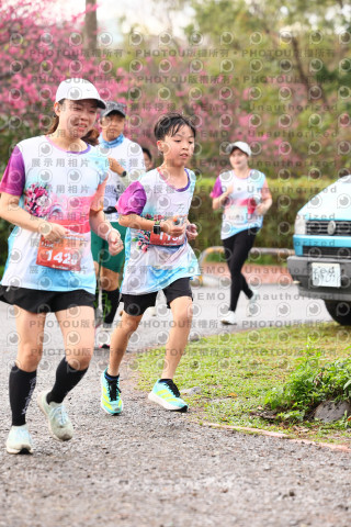 2026左岸竹東櫻花馬拉松Zhudong Sakura Marathon