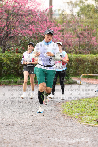 2026左岸竹東櫻花馬拉松Zhudong Sakura Marathon
