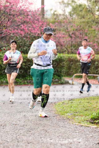 2026左岸竹東櫻花馬拉松Zhudong Sakura Marathon