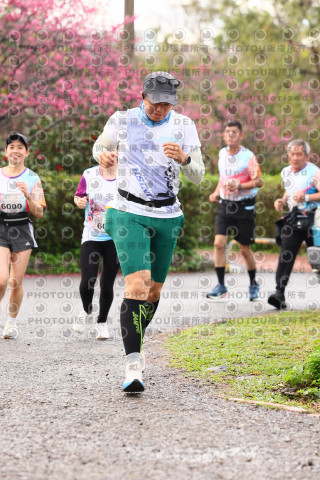 2026左岸竹東櫻花馬拉松Zhudong Sakura Marathon