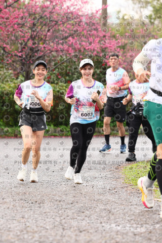 2026左岸竹東櫻花馬拉松Zhudong Sakura Marathon