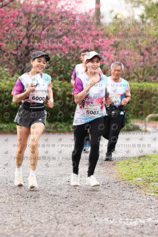 2026左岸竹東櫻花馬拉松Zhudong Sakura Marathon
