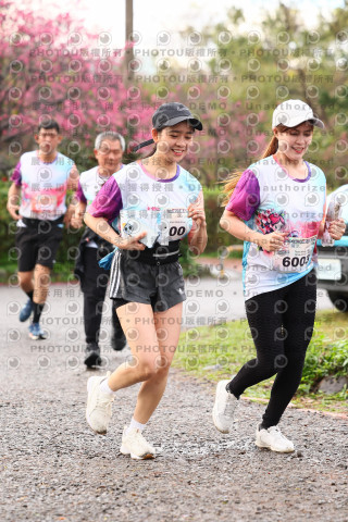 2026左岸竹東櫻花馬拉松Zhudong Sakura Marathon