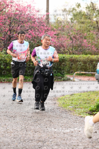 2026左岸竹東櫻花馬拉松Zhudong Sakura Marathon