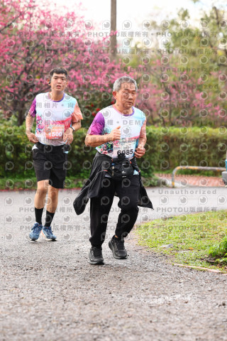 2026左岸竹東櫻花馬拉松Zhudong Sakura Marathon