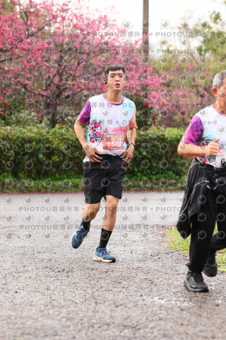 2026左岸竹東櫻花馬拉松Zhudong Sakura Marathon