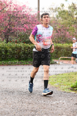 2026左岸竹東櫻花馬拉松Zhudong Sakura Marathon