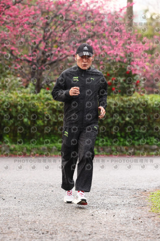 2026左岸竹東櫻花馬拉松Zhudong Sakura Marathon