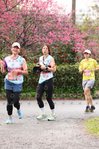 2026左岸竹東櫻花馬拉松Zhudong Sakura Marathon