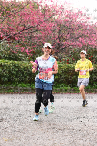 2026左岸竹東櫻花馬拉松Zhudong Sakura Marathon