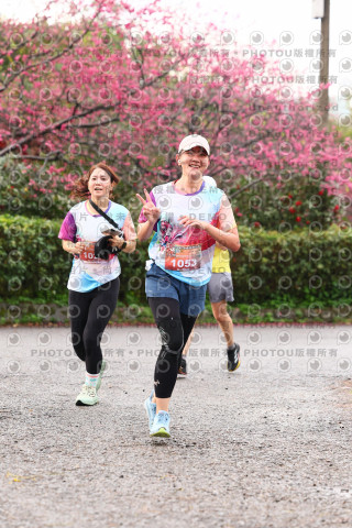 2026左岸竹東櫻花馬拉松Zhudong Sakura Marathon