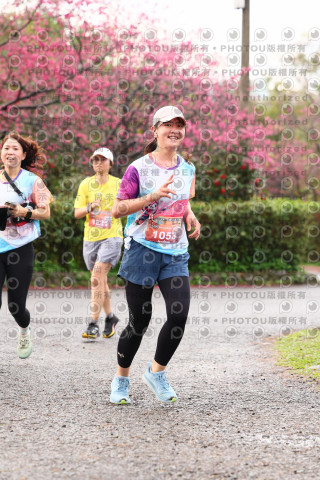 2026左岸竹東櫻花馬拉松Zhudong Sakura Marathon