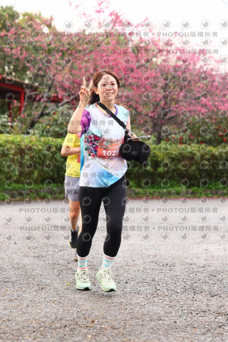 2026左岸竹東櫻花馬拉松Zhudong Sakura Marathon