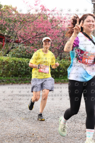 2026左岸竹東櫻花馬拉松Zhudong Sakura Marathon