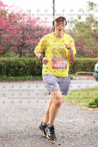 2026左岸竹東櫻花馬拉松Zhudong Sakura Marathon