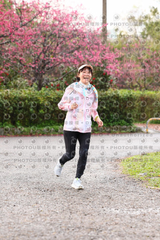 2026左岸竹東櫻花馬拉松Zhudong Sakura Marathon