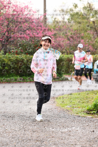 2026左岸竹東櫻花馬拉松Zhudong Sakura Marathon
