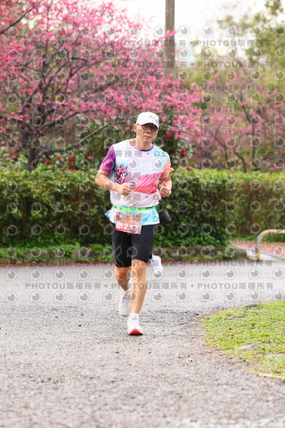 2026左岸竹東櫻花馬拉松Zhudong Sakura Marathon