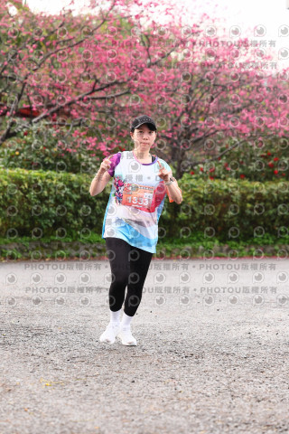 2026左岸竹東櫻花馬拉松Zhudong Sakura Marathon