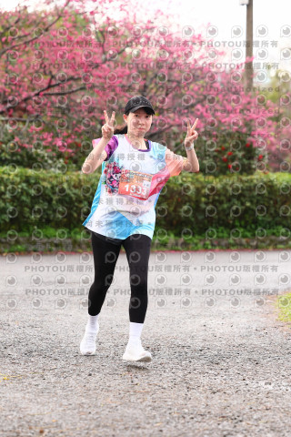 2026左岸竹東櫻花馬拉松Zhudong Sakura Marathon