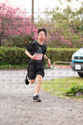 2026左岸竹東櫻花馬拉松Zhudong Sakura Marathon