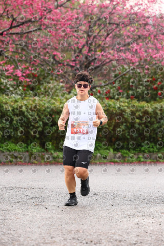 2026左岸竹東櫻花馬拉松Zhudong Sakura Marathon