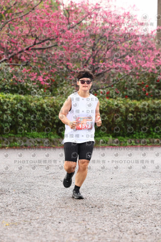 2026左岸竹東櫻花馬拉松Zhudong Sakura Marathon