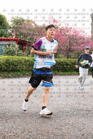 2026左岸竹東櫻花馬拉松Zhudong Sakura Marathon