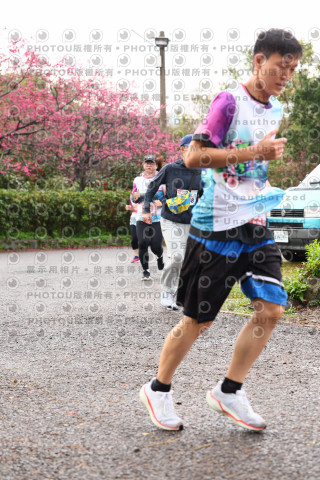 2026左岸竹東櫻花馬拉松Zhudong Sakura Marathon